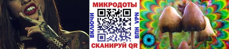 Галлюциногенные грибы ЛСД  Купить где  Вяземский 